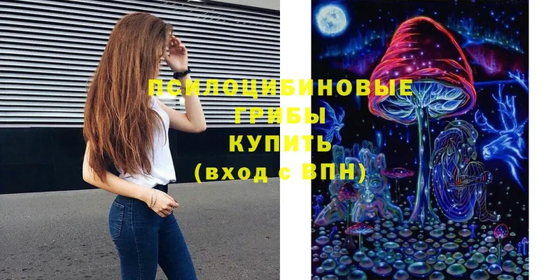 hydra как войти  Исилькуль  Псилоцибиновые грибы Psilocybine cubensis  как найти закладки 